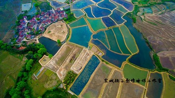 DJI_0187