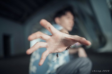 3817782