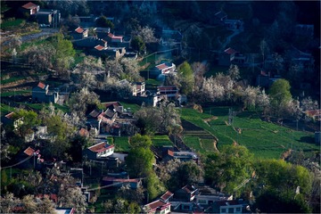 _DSC9441