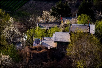 _DSC9969