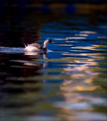 _DSC5730