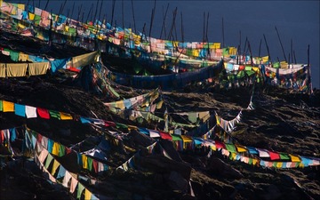 _DSC1102