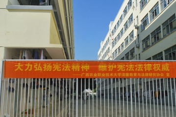 65AADA15-20E0-4883-A42D-A522685D36C1/L0/001