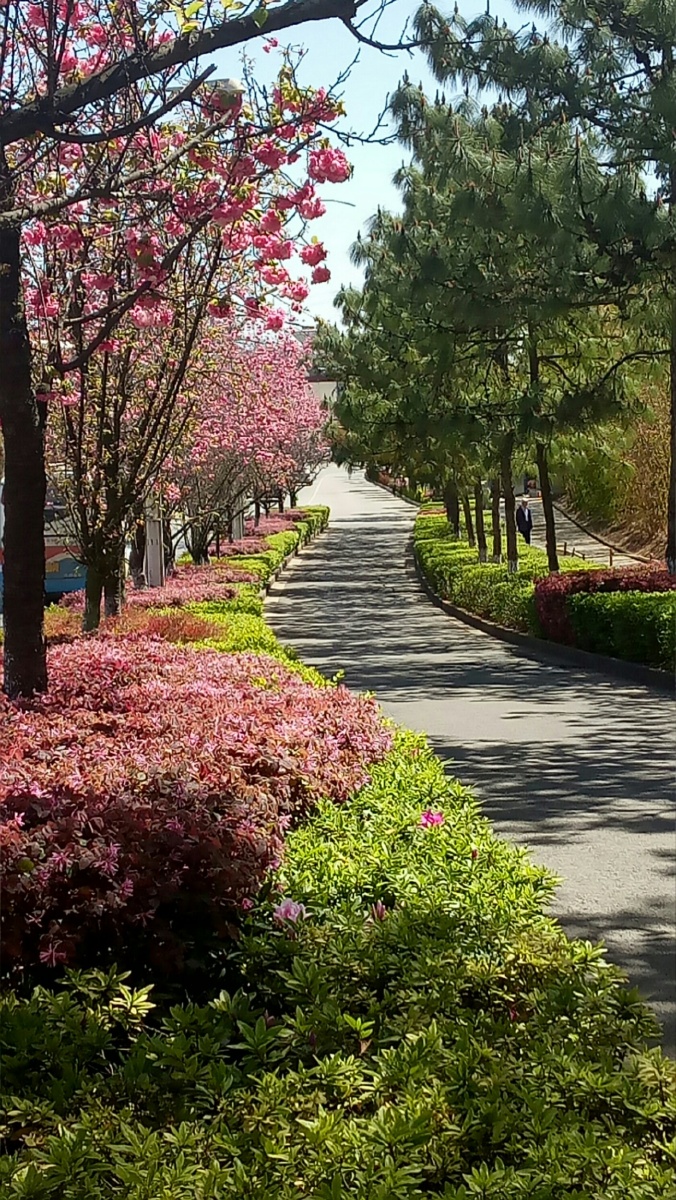 安宁的春天美如画