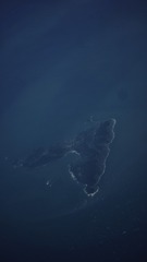 1105463