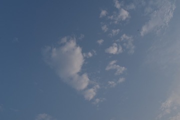 1658115