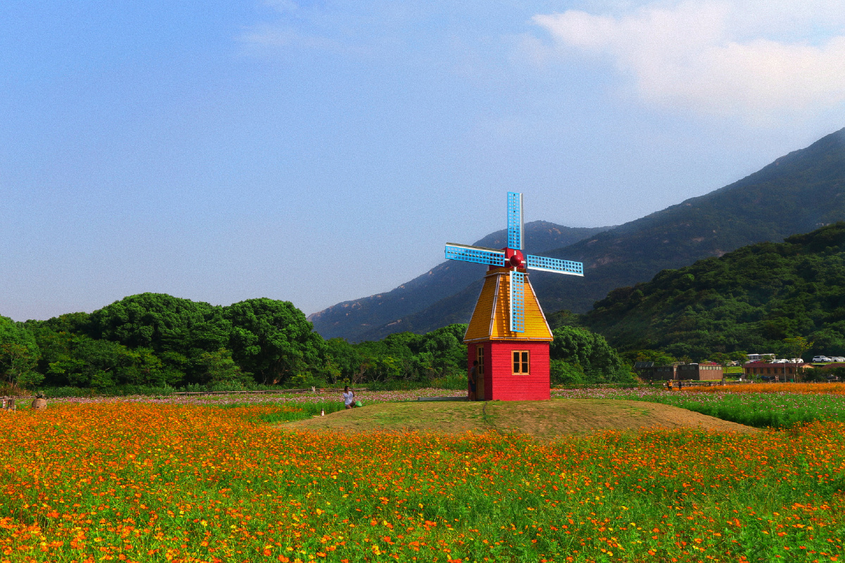旅行.大青山国家森林公园