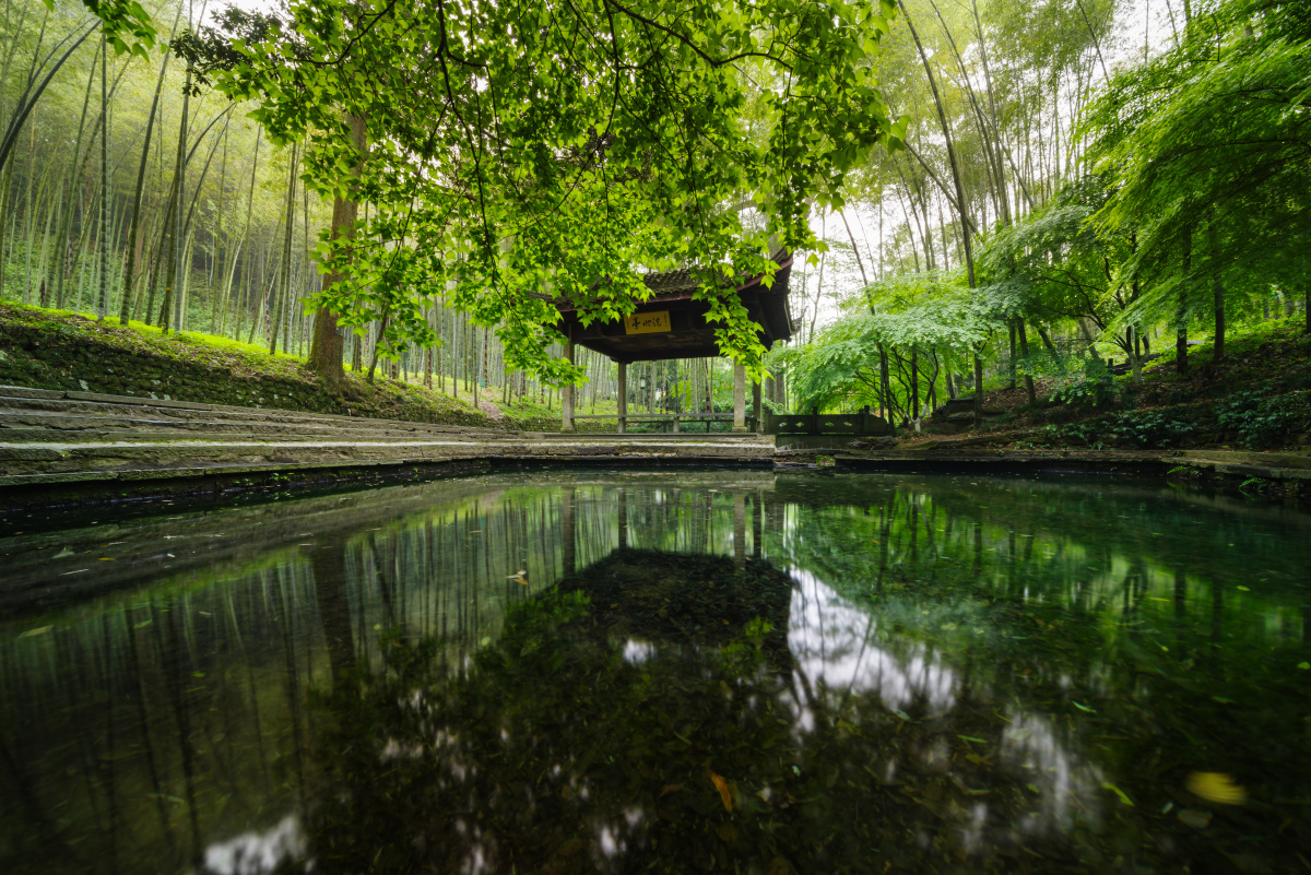 杭州-云栖竹径-洗心亭 - 邱凌煇 - 图虫
