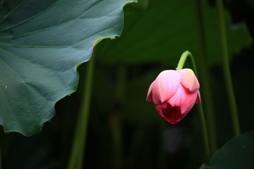 910844
