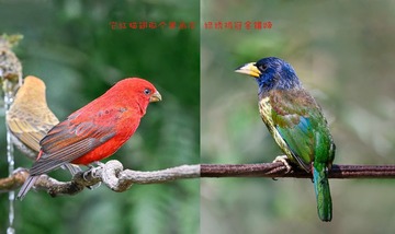 D3486546-8A90-4D52-B507-DEEE88E51FEF/L0/001