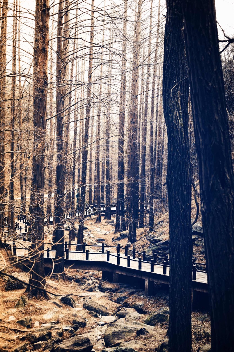 无边落木萧萧下