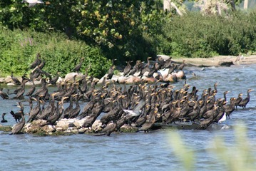 Tommy Thompson Park 010