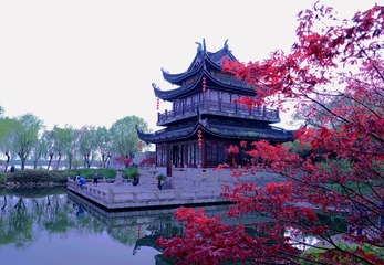 DSC00503_