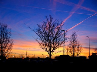 DSC04775_