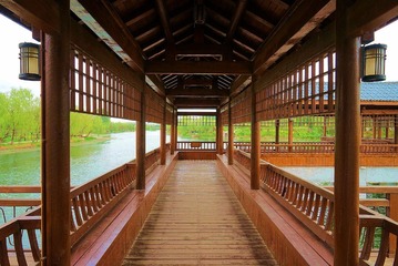 IMG_3590_