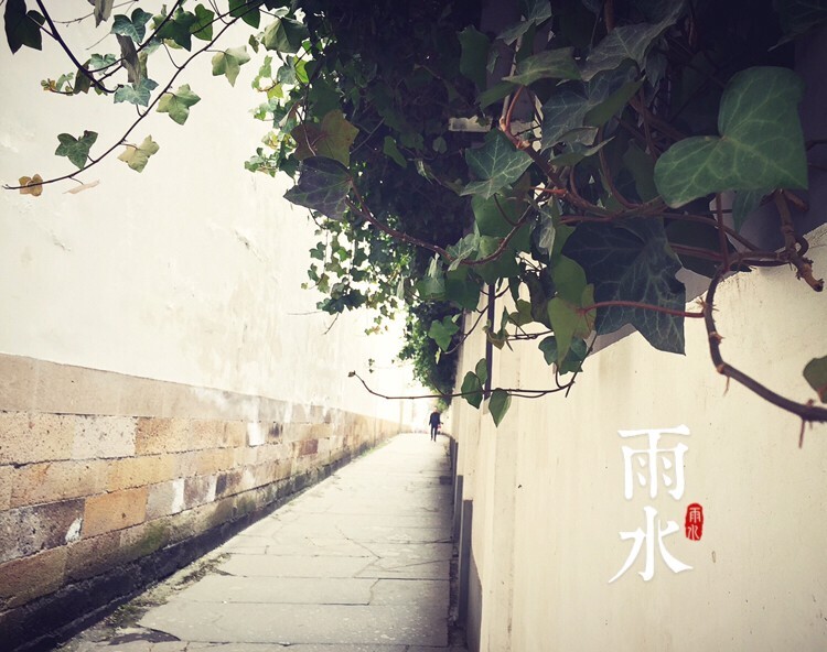 老巷，古宅，青苔，藤蔓，历史已经掩埋在尘埃，无人知晓，红顶商人的悲喜谁能听得到……