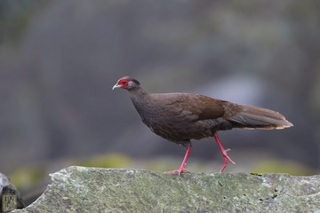A58A7145
