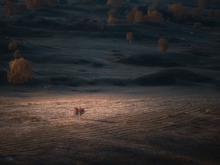 1263932