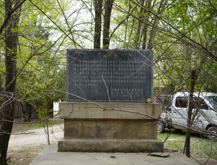 200459