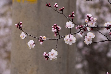 200057