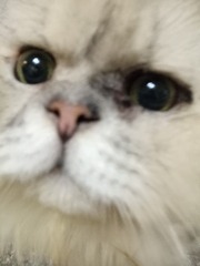 8299
