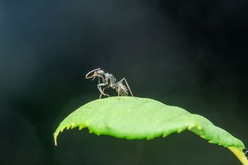 _DSC0060