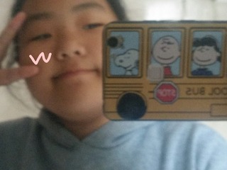 55113