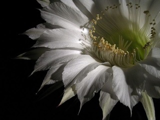 P6080028