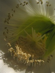 P6080081