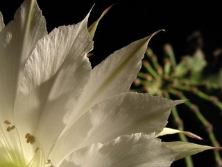 P6080053