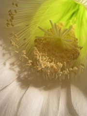 P6080065