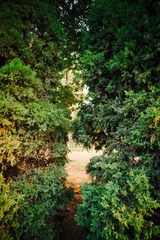 BC0C7360-7840-4D04-AD68-2DD287210A79/L0/001