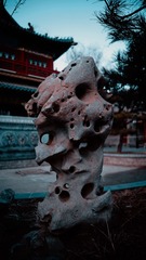 3D818226-7D6C-4E8B-AC28-E103F893CD05/L0/001