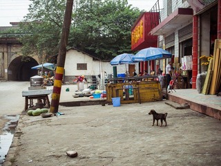 5AQ11747.jpg