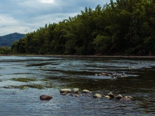 5AQ12970.jpg