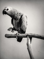 5AQ11991.jpg