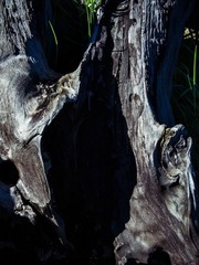 5AQ13896.jpg