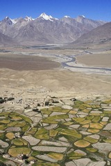 AQ040647