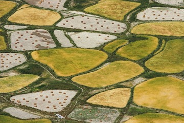 NEX5-hunan-008