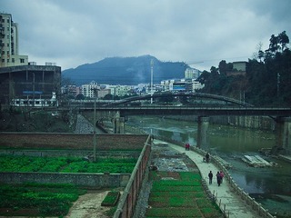AQ010588