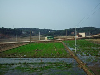 AQ070755