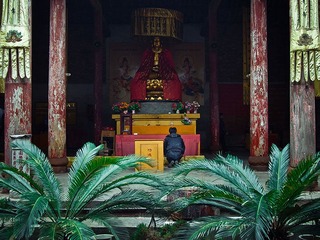 AQ020627