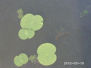 PHOT0345