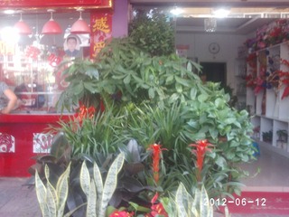 PHOT0581