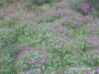 PHOT0620