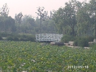 PHOT0352
