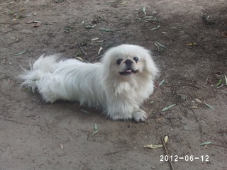 PHOT0563