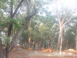PHOT0622