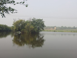 PHOT0713
