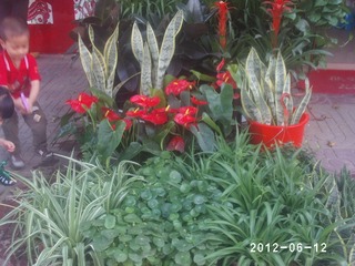 PHOT0580